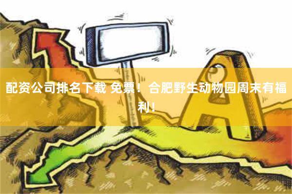 配资公司排名下载 免票！合肥野生动物园周末有福利！