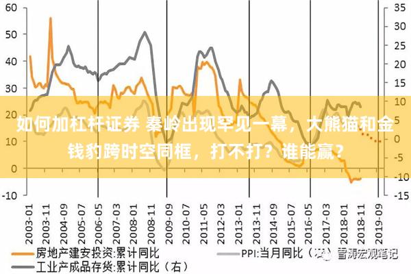 如何加杠杆证券 秦岭出现罕见一幕，大熊猫和金钱豹跨时空同框，打不打？谁能赢？