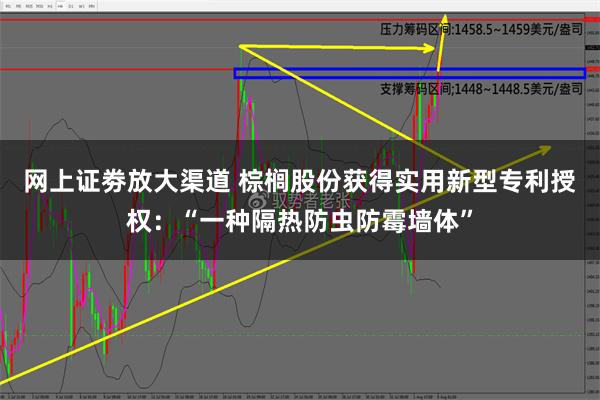 网上证劵放大渠道 棕榈股份获得实用新型专利授权：“一种隔热防虫防霉墙体”