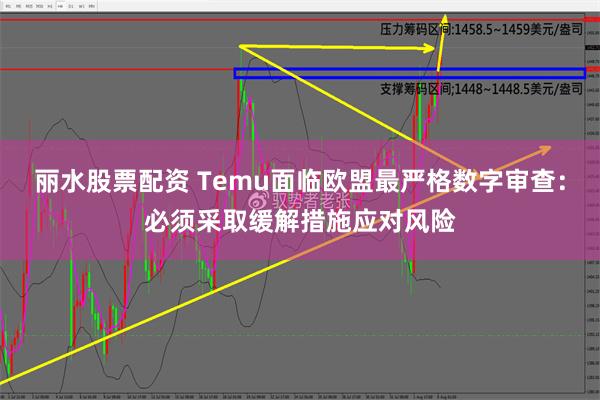 丽水股票配资 Temu面临欧盟最严格数字审查：必须采取缓解措施应对风险