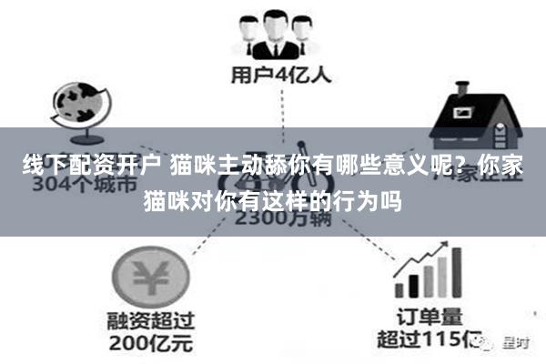 线下配资开户 猫咪主动舔你有哪些意义呢？你家猫咪对你有这样的行为吗