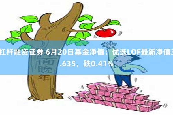 杠杆融资证券 6月20日基金净值：优选LOF最新净值3.635，跌0.41%