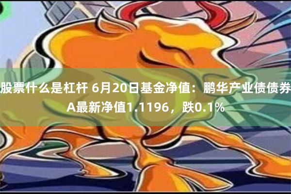 股票什么是杠杆 6月20日基金净值：鹏华产业债债券A最新净值1.1196，跌0.1%