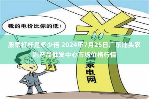 股票杠杆是多少倍 2024年7月25日广东汕头农副产品批发中心市场价格行情