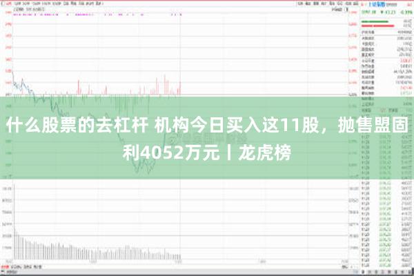 什么股票的去杠杆 机构今日买入这11股，抛售盟固利4052万元丨龙虎榜