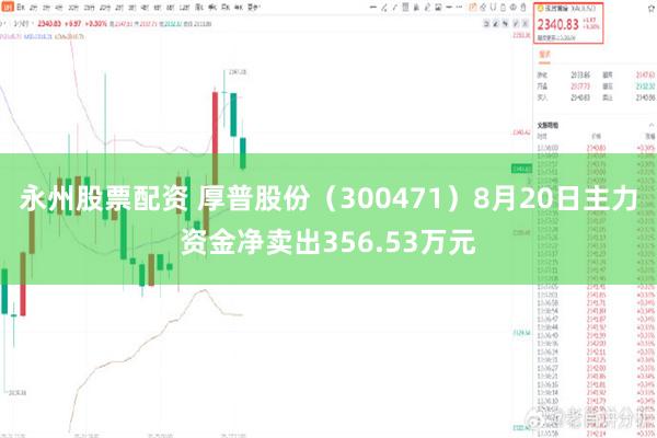 永州股票配资 厚普股份（300471）8月20日主力资金净卖出356.53万元