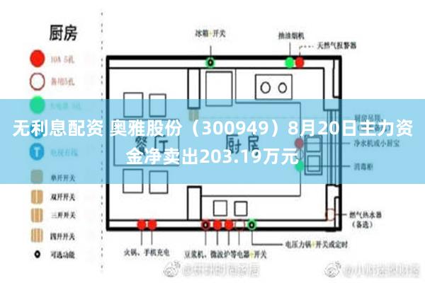 无利息配资 奥雅股份（300949）8月20日主力资金净卖出203.19万元