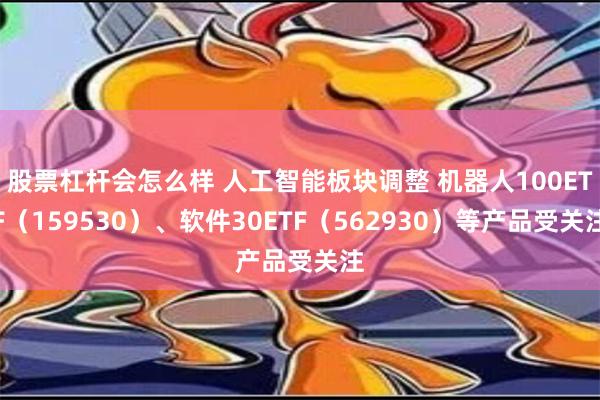 股票杠杆会怎么样 人工智能板块调整 机器人100ETF（159530）、软件30ETF（562930）等产品受关注