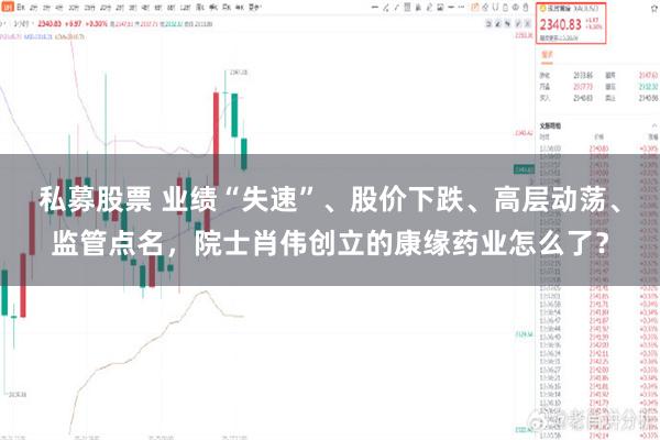 私募股票 业绩“失速”、股价下跌、高层动荡、监管点名，院士肖伟创立的康缘药业怎么了？