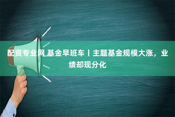 配资专业网 基金早班车丨主题基金规模大涨，业绩却现分化