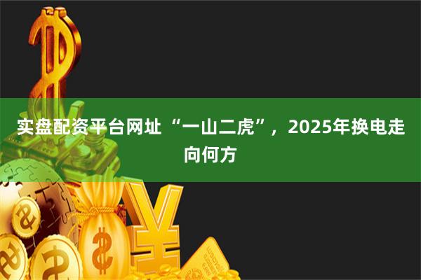 实盘配资平台网址 “一山二虎”，2025年换电走向何方