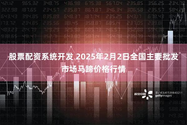 股票配资系统开发 2025年2月2日全国主要批发市场马蹄价格行情